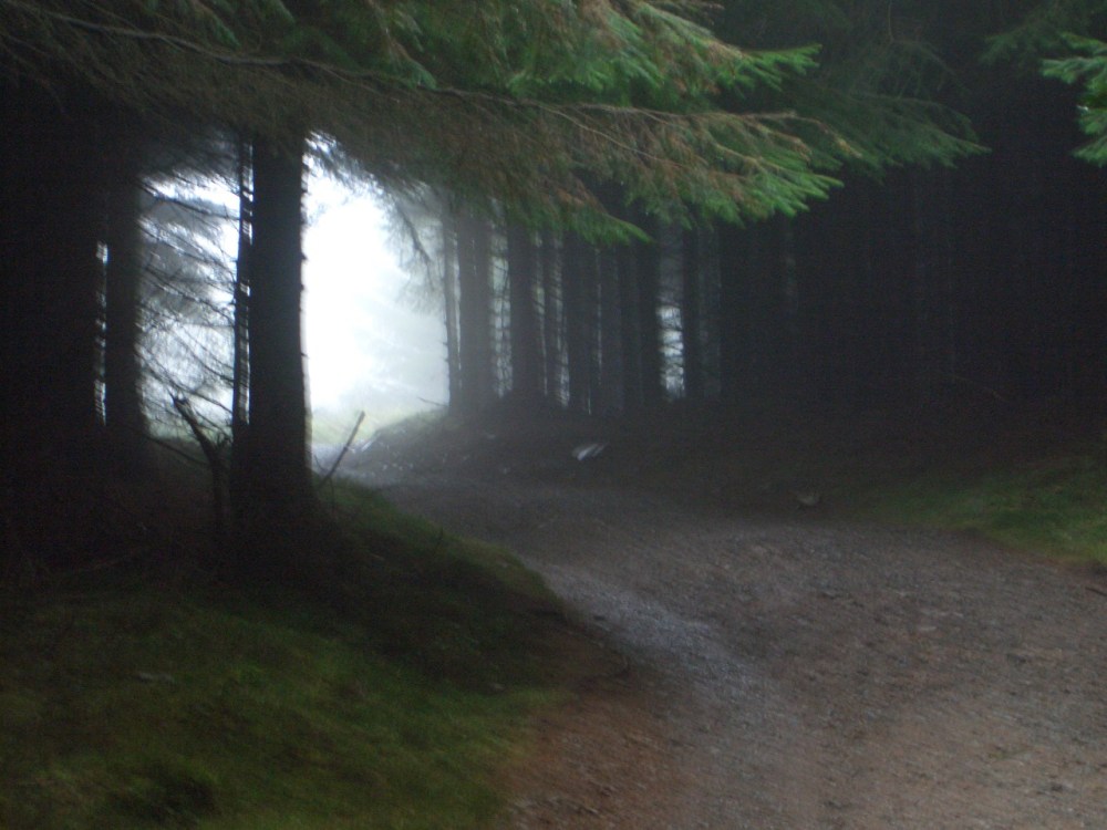 Image by Flickr User: martscrazyhorse