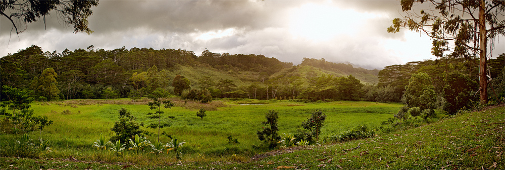 Image from Flickr User: //svensson