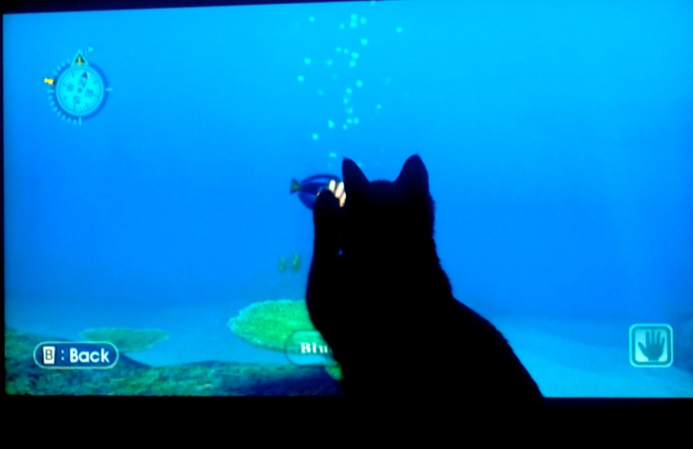 Image by Flickr user Greg Dunlap (CC) 